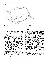 Bhagavan Medical Biochemistry 2001, page 524